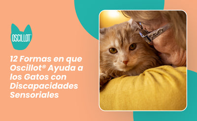 12 Formas en que Oscillot® Ayuda a los Gatos con Discapacidades Sensoriales