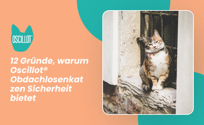 12 Gründe, warum Oscillot® Obdachlosenkatzen Sicherheit bietet
