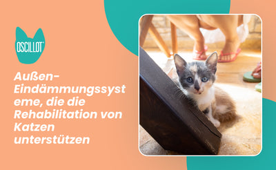 Außen-Eindämmungssysteme, die die Rehabilitation von Katzen unterstützen