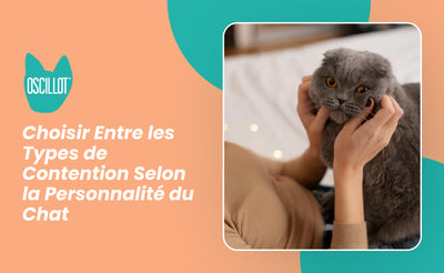 Choisir Entre les Types de Contention Selon la Personnalité du Chat
