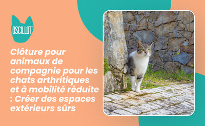Clôture pour animaux de compagnie pour les chats arthritiques et à mobilité réduite : Créer des espaces extérieurs sûrs
