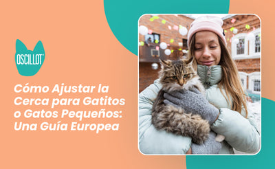 Cómo Ajustar la Cerca para Gatitos o Gatos Pequeños: Una Guía Europea