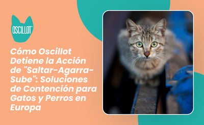 Cómo Oscillot Detiene la Acción de "Saltar-Agarra-Sube": Soluciones de Contención para Gatos y Perros en Europa