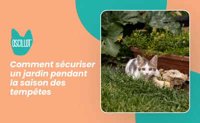 Comment sécuriser un jardin pendant la saison des tempêtes