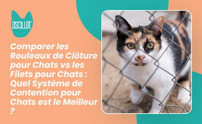 Comparer les Rouleaux de Clôture pour Chats vs les Filets pour Chats : Quel Système de Contention pour Chats est le Meilleur ?
