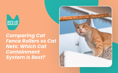 Comparing Cat Fence Rollers vs Cat Nets: Which Cat Containment System Is Best?