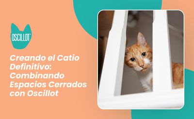 Creando el Catio Definitivo: Combinando Espacios Cerrados con Oscillot