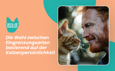 Die Wahl eines Kits für Miete oder vorübergehenden Gebrauch: Oscillot Zaunlösungen