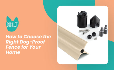 How to Choose the Right Dog-Proof Fence for Your Home
