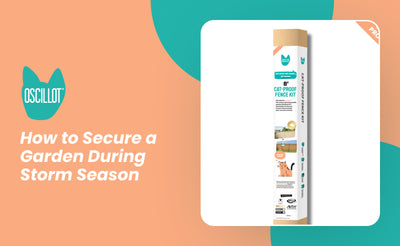 How to Secure a Garden During Storm Season