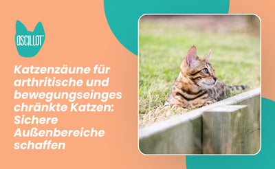 Katzenzäune für arthritische und bewegungseingeschränkte Katzen: Sichere Außenbereiche schaffen