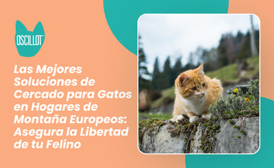 Las Mejores Soluciones de Cercado para Gatos en Hogares de Montaña Europeos: Asegura la Libertad de tu Felino