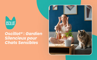 Oscillot® : Gardien Silencieux pour Chats Sensibles