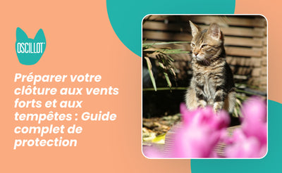 Préparer votre clôture aux vents forts et aux tempêtes : Guide complet de protection