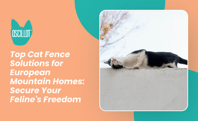 Top Cat Fence Solutions for European Mountain Homes: Secure Your Feline's Freedom