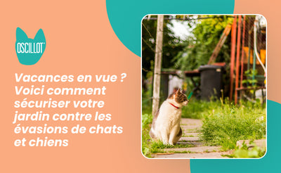 Vacances en vue ? Voici comment sécuriser votre jardin contre les évasions de chats et chiens