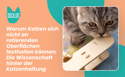 Warum Katzen sich nicht an rotierenden Oberflächen festhalten können: Die Wissenschaft hinter der Katzenhaltung