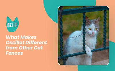 What Makes Oscillot Different from Other Cat Fences