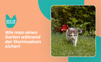 Wie man einen Garten während der Sturmsaison sichert